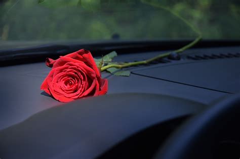 Can I Leave Flowers in My Car Overnight? And Why Do Cars Smell Like Forgotten Dreams?