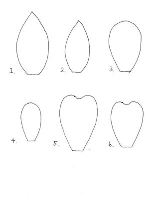 flowers how to draw: A Symphony of Petals and Pencils