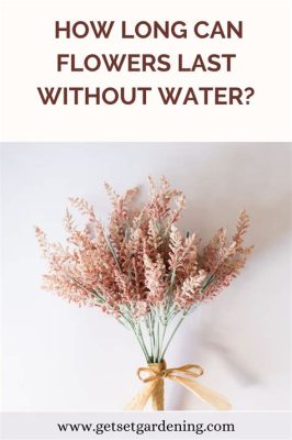 How Long Can Flowers Survive Without Water: A Journey Through Time and Thirst