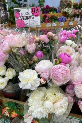 How Much Are Trader Joe's Flowers: A Blooming Discussion on Value and Aesthetics