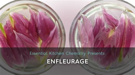 How to Extract Scent from Flowers: A Journey Through Fragrance and Imagination