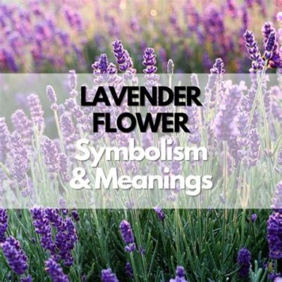 What do purple flowers mean? Exploring the enigmatic symbolism of lavender blossoms