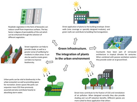 What Does Greening Mean? Exploring the Layers of Environmental Transformation